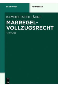 Maßregelvollzugsrecht