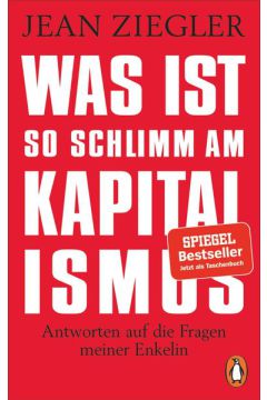 Was ist so schlimm am Kapitalismus?