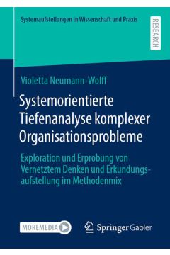 Systemorientierte Tiefenanalyse komplexer Organisationsprobleme